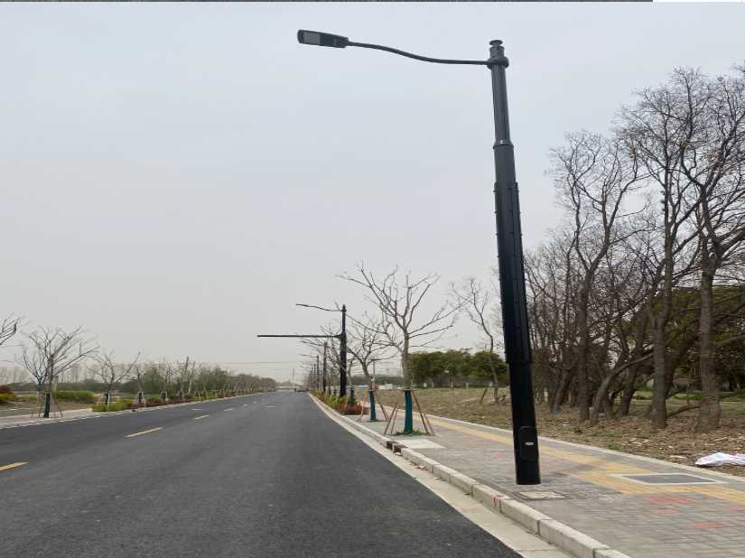 莲花县上海综合杆 太阳能路灯工程
